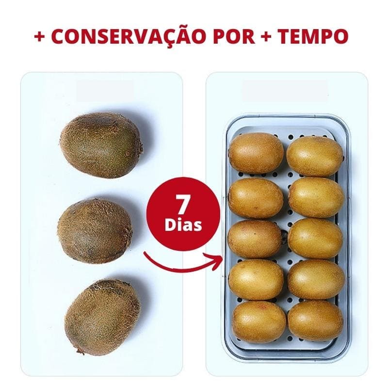 Organizador de Geladeira com Tampa e Marcador de Data Housetay
