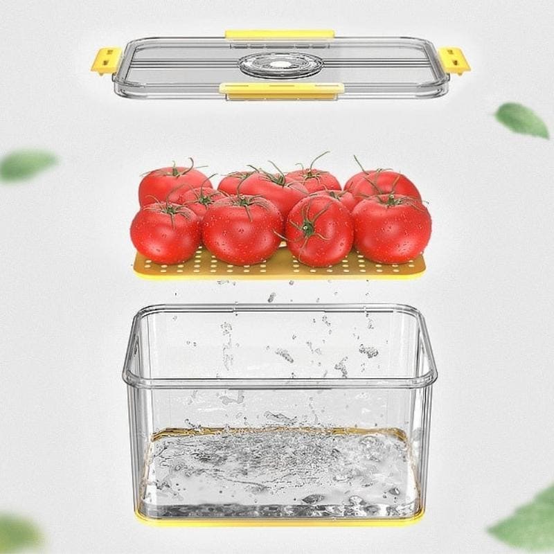 Organizador de Geladeira com Tampa e Marcador de Data Housetay