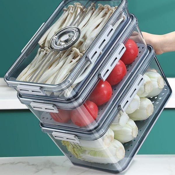 Organizador de Geladeira com Tampa e Marcador de Data Housetay